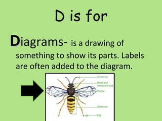 D is for
DDiagrams- is a drawing of
something to show its parts. Labels
are often added to the diagram.
 