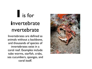 I   is for i nvertebrate nvertebrate Invertebrates are defined as animals without a backbone, and thousands of species of invertebrates exist in a coral reef. Examples include tube worms, starfish, crabs, sea cucumbers, sponges, and coral itself. 