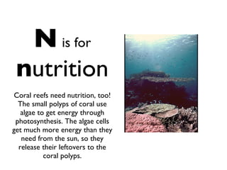 N   is for   n utrition Coral reefs need nutrition, too! The small polyps of coral use algae to get energy through photosynthesis. The algae cells get much more energy than they need from the sun, so they release their leftovers to the coral polyps. 