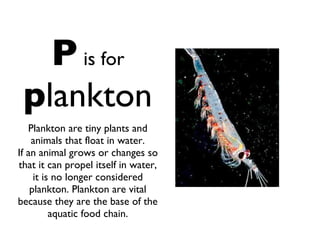 P   is for   p lankton Plankton are tiny plants and animals that float in water. If an animal grows or changes so that it can propel itself in water, it is no longer considered plankton. Plankton are vital because they are the base of the aquatic food chain. 