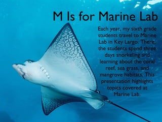 M Is for Marine Lab Each year, my sixth grade students travel to Marine Lab in Key Largo. There, the students spend three days snorkeling and learning about the coral reef, sea grass, and mangrove habitats. This presentation highlights topics covered at Marine Lab. 