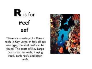 R   is for r eef eef There are a variety of different reefs in Key Largo; in fact, all but one type, the atoll reef, can be found. The coast of Key Largo boasts barrier reefs, fringing reefs, bank reefs, and patch reefs. 