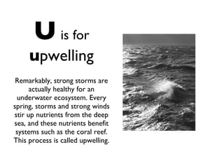 U   is for   u pwelling Remarkably, strong storms are actually healthy for an underwater ecosystem. Every spring, storms and strong winds stir up nutrients from the deep sea, and these nutrients benefit systems such as the coral reef. This process is called upwelling. 