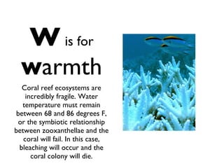W   is for   w armth Coral reef ecosystems are incredibly fragile. Water temperature must remain between 68 and 86 degrees F, or the symbiotic relationship between zooxanthellae and the coral will fail. In this case, bleaching will occur and the coral colony will die. 