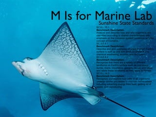 M Is for Marine Lab Sunshine State Standards SC.6.L.15.1   Benchmark Description: Analyze and describe how and why organisms are classified according to shared characteristics with emphasis on the Linnaean system combined with the concept of Domains. SC.6.E.6.1   Benchmark Description: Describe and give examples of ways in which Earth's surface is built up and torn down by physical and chemical weathering, erosion, and deposition. SC.6.E.6.2   Benchmark Description: Recognize that there are a variety of different landforms on Earth's surface such as coastlines, dunes, rivers, mountains, glaciers, deltas, and lakes and relate these landforms as they apply to Florida.  SC.6.L.14.3   Benchmark Description: Recognize and explore how cells of all organisms undergo similar processes to maintain homeostasis, including extracting energy from food, getting rid of waste, and reproducing.  