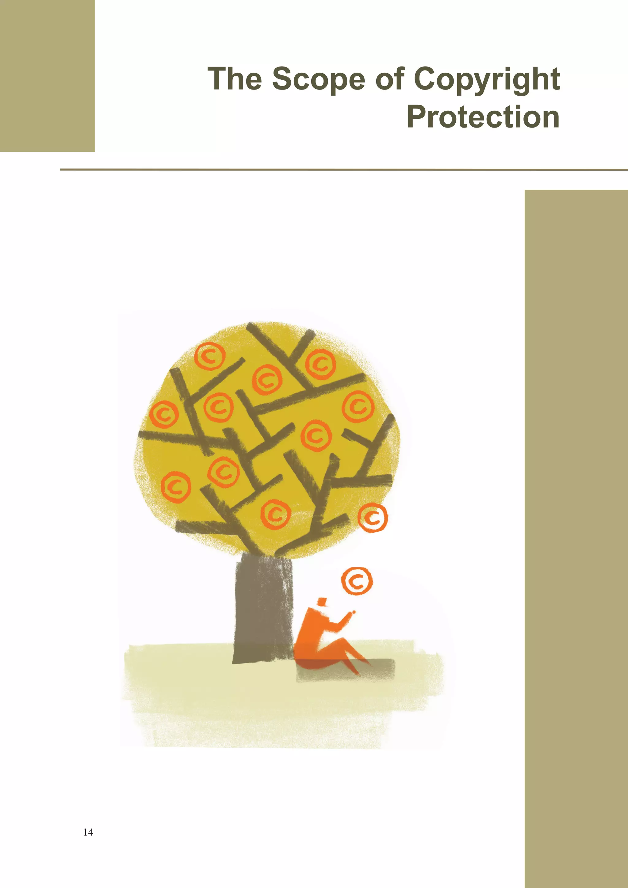 The Scope of Copyright 
Protection 
14 
 