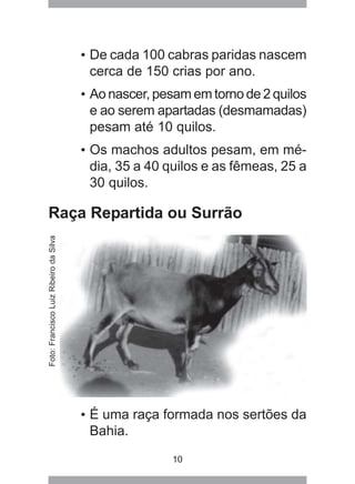 10
• De cada 100 cabras paridas nascem
cerca de 150 crias por ano.
• Ao nascer, pesam em torno de 2 quilos
e ao serem apartadas (desmamadas)
pesam até 10 quilos.
• Os machos adultos pesam, em mé-
dia, 35 a 40 quilos e as fêmeas, 25 a
30 quilos.
Raça Repartida ou Surrão
• É uma raça formada nos sertões da
Bahia.
Foto:FranciscoLuizRibeirodaSilva
 