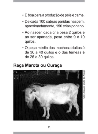 11
• É boaparaaproduçãodepeleecarne.
• De cada 100 cabras paridas nascem,
aproximadamente, 150 crias por ano.
• Ao nascer, cada cria pesa 2 quilos e
ao ser apartada, pesa entre 9 e 10
quilos.
• O peso médio dos machos adultos é
de 36 a 40 quilos e o das fêmeas é
de 26 a 30 quilos.
Raça Marota ou Curaça
Foto:AdrianaMellodeAraújo
 
