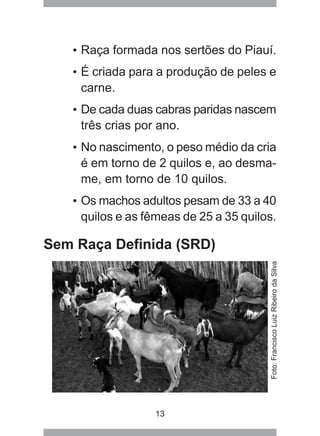 13
• Raça formada nos sertões do Piauí.
• É criada para a produção de peles e
carne.
• De cada duas cabras paridas nascem
três crias por ano.
• No nascimento, o peso médio da cria
é em torno de 2 quilos e, ao desma-
me, em torno de 10 quilos.
• Os machos adultos pesam de 33 a 40
quilos e as fêmeas de 25 a 35 quilos.
Sem Raça Definida (SRD)
Foto:FranciscoLuizRibeirodaSilva
 