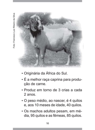 16
• Originária da África do Sul.
• É a melhor raça caprina para produ-
ção de carne.
• Produz em torno de 3 crias a cada
2 anos.
• O peso médio, ao nascer, é 4 quilos
e, aos 10 meses de idade, 40 quilos.
• Os machos adultos pesam, em mé-
dia, 95 quilos e as fêmeas, 85 quilos.
Foto:FranciscoLuizRibeirodaSilva
 