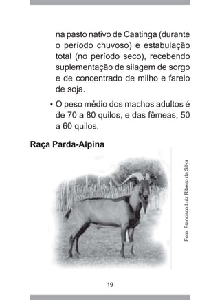 19
na pasto nativo de Caatinga (durante
o período chuvoso) e estabulação
total (no período seco), recebendo
suplementação de silagem de sorgo
e de concentrado de milho e farelo
de soja.
• O peso médio dos machos adultos é
de 70 a 80 quilos, e das fêmeas, 50
a 60 quilos.
Raça Parda-Alpina
Foto:FranciscoLuizRibeirodaSilva
 