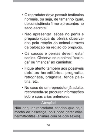 36
• O reprodutor deve possuir testículos
normais, ou seja, de tamanho igual,
de consistência firme e presentes no
saco escrotal.
• Não apresentar lesões no pênis e
prepúcio (capa do pênis), observa-
dos pela reação do animal através
da palpação na região do prepúcio.
• Os cascos e pernas devem estar
sadios. Observe se o animal “caxin-
ga” ou “manca” ao caminhar.
• Fique atento também aos possíveis
defeitos hereditários: prognatia,
retrognatia, bragnatia, fenda pala-
tina, etc.
• No caso de um reprodutor já adulto,
recomenda-se procurar informações
sobre suas crias anteriores.
Atenção!
Não adquirir reprodutor caprino que seja
mocho de nascença, pois pode gerar crias
hermafroditas (animais com os dois sexos).
 