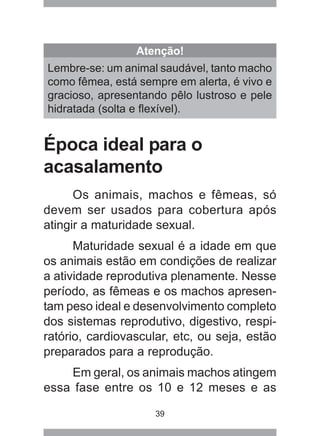 39
Época ideal para o
acasalamento
Os animais, machos e fêmeas, só
devem ser usados para cobertura após
atingir a maturidade sexual.
Maturidade sexual é a idade em que
os animais estão em condições de realizar
a atividade reprodutiva plenamente. Nesse
período, as fêmeas e os machos apresen-
tam peso ideal e desenvolvimento completo
dos sistemas reprodutivo, digestivo, respi-
ratório, cardiovascular, etc, ou seja, estão
preparados para a reprodução.
Em geral, os animais machos atingem
essa fase entre os 10 e 12 meses e as
Atenção!
Lembre-se: um animal saudável, tanto macho
como fêmea, está sempre em alerta, é vivo e
gracioso, apresentando pêlo lustroso e pele
hidratada (solta e flexível).
 