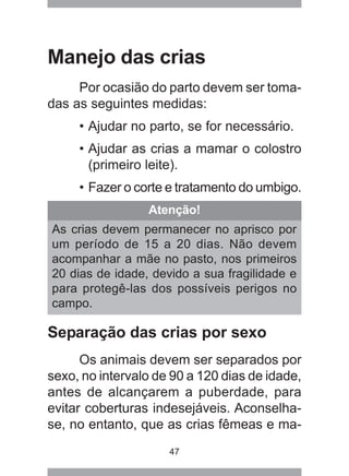 47
Atenção!
As crias devem permanecer no aprisco por
um período de 15 a 20 dias. Não devem
acompanhar a mãe no pasto, nos primeiros
20 dias de idade, devido a sua fragilidade e
para protegê-las dos possíveis perigos no
campo.
Manejo das crias
Por ocasião do parto devem ser toma-
das as seguintes medidas:
• Ajudar no parto, se for necessário.
• Ajudar as crias a mamar o colostro
(primeiro leite).
• Fazer o corte e tratamento do umbigo.
Separação das crias por sexo
Os animais devem ser separados por
sexo, no intervalo de 90 a 120 dias de idade,
antes de alcançarem a puberdade, para
evitar coberturas indesejáveis. Aconselha-
se, no entanto, que as crias fêmeas e ma-
 