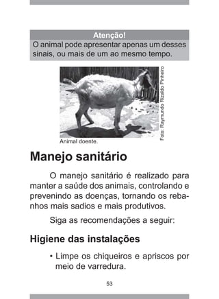 53
Manejo sanitário
O manejo sanitário é realizado para
manter a saúde dos animais, controlando e
prevenindo as doenças, tornando os reba-
nhos mais sadios e mais produtivos.
Siga as recomendações a seguir:
Higiene das instalações
• Limpe os chiqueiros e apriscos por
meio de varredura.
Atenção!
O animal pode apresentar apenas um desses
sinais, ou mais de um ao mesmo tempo.
Animal doente.
Foto:RaymundoRizaldoPinheiro
 