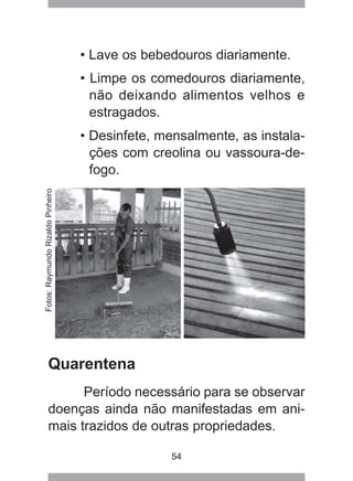 54
• Lave os bebedouros diariamente.
• Limpe os comedouros diariamente,
não deixando alimentos velhos e
estragados.
• Desinfete, mensalmente, as instala-
ções com creolina ou vassoura-de-
fogo.
Quarentena
Período necessário para se observar
doenças ainda não manifestadas em ani-
mais trazidos de outras propriedades.
Fotos:RaymundoRizaldoPinheiro
 