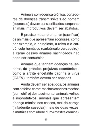 57
Animais com doença crônica, portado-
res de doenças transmissíveis ao homem
(zoonoses) devem ser sacrificados, enquanto
animais improdutivos devem ser abatidos.
É preciso matar e enterrar (sacrificar)
os animais que apresentam zoonoses, como
por exemplo, a brucelose, a raiva e o car-
búnculo hemático (carbúnculo verdadeiro);
a carne desses animais sacrificados não
pode ser consumida.
Animais que tenham doenças causa-
doras de grandes prejuízos econômicos,
como a artrite encefalite caprina a vírus
(CAEV), também devem ser abatidos.
Ainda devem ser abatidos, os animais
com defeitos como: machos caprinos mochos
(sem chifre) de nascimento; animais velhos
e improdutivos; animais que apresentem
doença crônica nos cascos, mal-do-caroço
(linfadenite caseosa) mais de duas vezes,
e matrizes com úbere duro (mastite crônica).
 