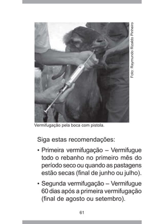 61
Vermifugação pela boca com pistola.
Siga estas recomendações:
• Primeira vermifugação – Vermifugue
todo o rebanho no primeiro mês do
período seco ou quando as pastagens
estão secas (final de junho ou julho).
• Segunda vermifugação – Vermifugue
60 dias após a primeira vermifugação
(final de agosto ou setembro).
Foto:RaymundoRizaldoPinheiro
 