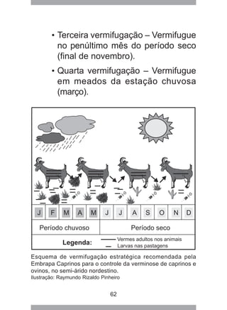 62
• Terceira vermifugação – Vermifugue
no penúltimo mês do período seco
(final de novembro).
• Quarta vermifugação – Vermifugue
em meados da estação chuvosa
(março).
Esquema de vermifugação estratégica recomendada pela
Embrapa Caprinos para o controle da verminose de caprinos e
ovinos, no semi-árido nordestino.
Ilustração: Raymundo Rizaldo Pinheiro
 