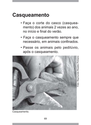 69
Casqueamento
• Faça o corte do casco (casquea-
mento) dos animais 2 vezes ao ano,
no início e final do verão.
• Faça o casqueamento sempre que
necessário, em animais confinados.
• Passe os animais pelo pedilúvio,
após o casqueamento.
Casqueamento.
Foto:RaymundoRizaldoPinheiro
 