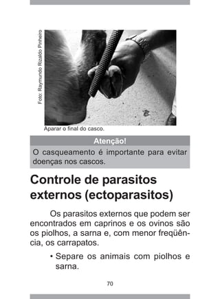 70
Controle de parasitos
externos (ectoparasitos)
Os parasitos externos que podem ser
encontrados em caprinos e os ovinos são
os piolhos, a sarna e, com menor freqüên-
cia, os carrapatos.
• Separe os animais com piolhos e
sarna.
Atenção!
O casqueamento é importante para evitar
doenças nos cascos.
Aparar o final do casco.
Foto:RaymundoRizaldoPinheiro
 