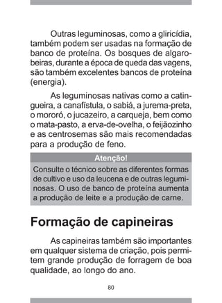 80
Outras leguminosas, como a gliricídia,
também podem ser usadas na formação de
banco de proteína. Os bosques de algaro-
beiras, durante a época de queda das vagens,
são também excelentes bancos de proteína
(energia).
As leguminosas nativas como a catin-
gueira, a canafístula, o sabiá, a jurema-preta,
o mororó, o jucazeiro, a carqueja, bem como
o mata-pasto, a erva-de-ovelha, o feijãozinho
e as centrosemas são mais recomendadas
para a produção de feno.
Atenção!
Consulte o técnico sobre as diferentes formas
de cultivo e uso da leucena e de outras legumi-
nosas. O uso de banco de proteína aumenta
a produção de leite e a produção de carne.
Formação de capineiras
As capineiras também são importantes
em qualquer sistema de criação, pois permi-
tem grande produção de forragem de boa
qualidade, ao longo do ano.
 