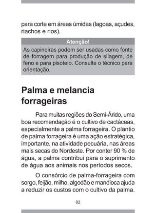 82
para corte em áreas úmidas (lagoas, açudes,
riachos e rios).
Atenção!
As capineiras podem ser usadas como fonte
de forragem para produção de silagem, de
feno e para pisoteio. Consulte o técnico para
orientação.
Palma e melancia
forrageiras
ParamuitasregiõesdoSemi-Árido,uma
boa recomendação é o cultivo de cactáceas,
especialmente a palma forrageira. O plantio
de palma forrageira é uma ação estratégica,
importante, na atividade pecuária, nas áreas
mais secas do Nordeste. Por conter 90 % de
água, a palma contribui para o suprimento
de água aos animais nos períodos secos.
O consórcio de palma-forrageira com
sorgo,feijão,milho,algodãoemandiocaajuda
a reduzir os custos com o cultivo da palma.
 