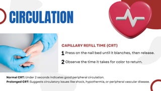 CIRCULATION
CAPILLARY REFILL TIME (CRT)
Press on the nail bed until it blanches, then release.
Normal CRT: Under 2 seconds indicates good peripheral circulation.
Prolonged CRT: Suggests circulatory issues like shock, hypothermia, or peripheral vascular disease.
Observe the time it takes for color to return.
 