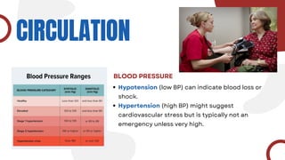 CIRCULATION
BLOOD PRESSURE
Hypotension (low BP) can indicate blood loss or
shock.
Hypertension (high BP) might suggest
cardiovascular stress but is typically not an
emergency unless very high.
 
