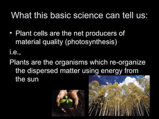 What this basic science can tell us: 
• Plant cells are the net producers of 
material quality (photosynthesis) 
i.e., 
Plants are the organisms which re-organize 
the dispersed matter using energy from 
the sun 
 