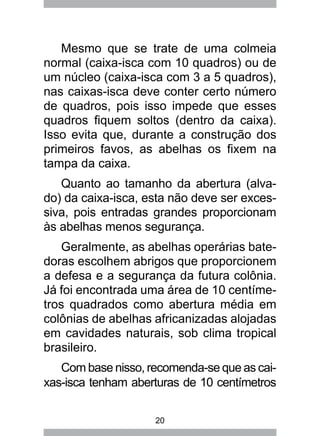 20
Mesmo que se trate de uma colmeia
normal (caixa-isca com 10 quadros) ou de
um núcleo (caixa-isca com 3 a 5 quadros),
nas caixas-isca deve conter certo número
de quadros, pois isso impede que esses
quadros fiquem soltos (dentro da caixa).
Isso evita que, durante a construção dos
primeiros favos, as abelhas os fixem na
tampa da caixa.
Quanto ao tamanho da abertura (alva-
do) da caixa-isca, esta não deve ser exces-
siva, pois entradas grandes proporcionam
às abelhas menos segurança.
Geralmente, as abelhas operárias bate-
doras escolhem abrigos que proporcionem
a defesa e a segurança da futura colônia.
Já foi encontrada uma área de 10 centíme-
tros quadrados como abertura média em
colônias de abelhas africanizadas alojadas
em cavidades naturais, sob clima tropical
brasileiro.
Com base nisso, recomenda-se que as cai-
xas-isca tenham aberturas de 10 centímetros
 