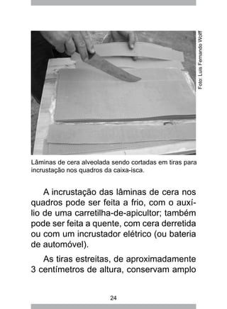 24
Lâminas de cera alveolada sendo cortadas em tiras para
incrustação nos quadros da caixa-isca.
Foto:LuisFernandoWolff
A incrustação das lâminas de cera nos
quadros pode ser feita a frio, com o auxí-
lio de uma carretilha-de-apicultor; também
pode ser feita a quente, com cera derretida
ou com um incrustador elétrico (ou bateria
de automóvel).
As tiras estreitas, de aproximadamente
3 centímetros de altura, conservam amplo
 