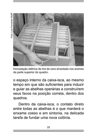25
o espaço interno da caixa-isca, ao mesmo
tempo em que são suficientes para induzir
e guiar as abelhas operárias a construírem
seus favos na posição correta, dentro dos
quadros.
Dentro da caixa-isca, o contato direto
entre todas as abelhas é o que manterá o
enxame coeso e em sintonia, na delicada
tarefa de fundar uma nova colônia.
Incrustação elétrica de tira de cera alveolada nos arames
da parte superior do quadro.
Foto:LuisFernandoWolff
 