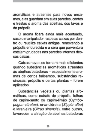 28
aromáticas e atraentes para novos enxa-
mes, elas guardam em suas paredes, cantos
e frestas o aroma das abelhas, dos favos e
da própolis.
O aroma ficará ainda mais acentuado,
caso o manipulador raspe as caixas por den-
tro ou reutilize caixas antigas, removendo a
própolis endurecida e a cera que porventura
estejam grudadas nas paredes internas des-
sas caixas.
Caixas novas se tornam mais eficientes
quando substâncias aromáticas atraentes
às abelhas batedoras – especialmente aro-
mas de certos bálsamos, substâncias re-
sinosas, própolis e certas plantas – forem
aplicados.
Substâncias vegetais ou plantas aro-
máticas, como extrato de própolis, folhas
de capim-santo ou capim-limão (Cymbo-
pogon citratus), erva-cidreira (Sippia alba)
e laranjeira (Citrus sinensis), entre outras,
favorecem a atração de abelhas batedoras
 