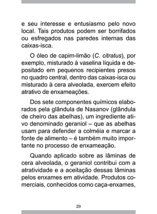 29
e seu interesse e entusiasmo pelo novo
local. Tais produtos podem ser borrifados
ou esfregados nas paredes internas das
caixas-isca.
O óleo de capim-limão (C. citratus), por
exemplo, misturado à vaselina líquida e de-
positado em pequenos recipientes presos
no quadro central, dentro das caixas-isca ou
misturado à cera alveolada, exercem efeito
atrativo de enxameações.
Dos sete componentes químicos elabo-
rados pela glândula de Nasanov (glândula
de cheiro das abelhas), um ingrediente ati-
vo denominado geraniol – que as abelhas
usam para defender a colméia e marcar a
fonte de alimento – é também muito impor-
tante no processo de enxameação.
Quando aplicado sobre as lâminas de
cera alveolada, o geraniol contribui com a
atratividade e a aceitação dessas lâminas
pelos enxames em atividade. Produtos co-
merciais, conhecidos como caça-enxames,
 