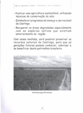 ABC da Agricultura Familiar - Preservção e uso da Caatinga 2
- Praticar umaagricultura sustentável, utilizando
técnicas de conservação do solo.
- Estabelecer programas de manejoe usoracional
da Caatinga.
- Recuperar as áreas degradadas especialmente
com as espécies nativas que existiam
anteriormente na região.
Com essas medidas, será possível preservar os
recursos naturais da Caatinga, para que as
gerações futuras possam conhecer, valorizar e
se beneficiar deste patrimônio brasileiro.
Sistemas agroflorestais.
16
 