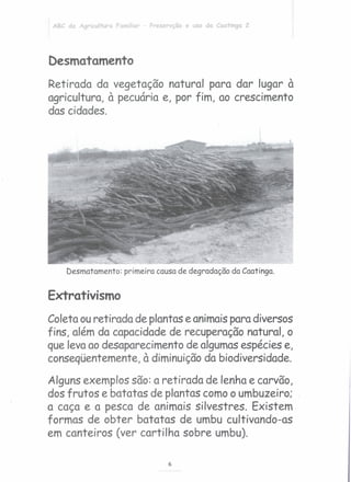 ABC da Agricultura Familia~ Preservção e uso da Caatinga 2
Desmatamento
Retirada da vegetação natural para dar lugar à
agricultura, à pecuária e, por fim, ao crescimento
das cidades.
Desmatamento: primeira causa de degradação da Caatinga.
Extrativismo
Coleta ou retirada de plantas e animais para diversos
fins, além da capacidade de recuperação natural, o
que leva ao desaparecimento de algumas espécies e,
conseqüentemente, à diminuição da biodiversidade.
Alguns exemplos são: a retirada de lenha e carvão,
dos frutos e batatas de plantas como o umbuzeiro;
a caça e a pesca de animais silvestres. Existem
formas de obter batatas de umbu cultivando-as
em canteiros (ver cartilha sobre umbu).
6
 