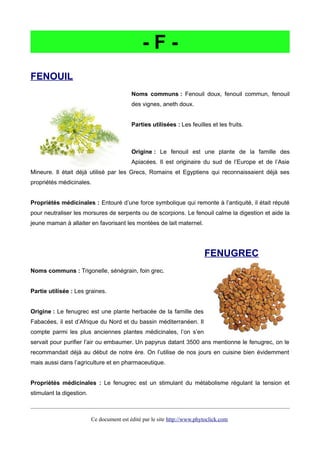 - F -
FENOUIL
Noms communs : Fenouil doux, fenouil commun, fenouil
des vignes, aneth doux.
Parties utilisées : Les feuilles et les fruits.
Origine : Le fenouil est une plante de la famille des
Apiacées. Il est originaire du sud de l’Europe et de l’Asie
Mineure. Il était déjà utilisé par les Grecs, Romains et Egyptiens qui reconnaissaient déjà ses
propriétés médicinales.
Propriétés médicinales : Entouré d’une force symbolique qui remonte à l’antiquité, il était réputé
pour neutraliser les morsures de serpents ou de scorpions. Le fenouil calme la digestion et aide la
jeune maman à allaiter en favorisant les montées de lait maternel.
FENUGREC
Noms communs : Trigonelle, sénégrain, foin grec.
Partie utilisée : Les graines.
Origine : Le fenugrec est une plante herbacée de la famille des
Fabacées, il est d’Afrique du Nord et du bassin méditerranéen. Il
compte parmi les plus anciennes plantes médicinales, l’on s’en
servait pour purifier l’air ou embaumer. Un papyrus datant 3500 ans mentionne le fenugrec, on le
recommandait déjà au début de notre ère. On l’utilise de nos jours en cuisine bien évidemment
mais aussi dans l’agriculture et en pharmaceutique.
Propriétés médicinales : Le fenugrec est un stimulant du métabolisme régulant la tension et
stimulant la digestion.
Ce document est édité par le site http://www.phytoclick.com
 