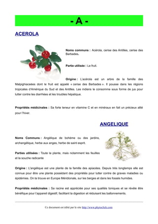 - A -
ACEROLA
Noms communs : Acérola, cerise des Antilles, cerise des
Barbades.
Partie utilisée : Le fruit.
Origine : L’acérola est un arbre de la famille des
Malpighiaceées dont le fruit est appelé « cerise des Barbades ». Il pousse dans les régions
tropicales d’Amérique du Sud et des Antilles. Les indiens le consomme sous forme de jus pour
lutter contre les diarrhées et les troubles hépatique.
Propriétés médicinales : Sa forte teneur en vitamine C et en minéraux en fait un précieux allié
pour l’hiver.
ANGELIQUE
Noms Communs : Angélique de bohème ou des jardins,
archangélique, herbe aux anges, herbe de saint esprit.
Parties utilisées : Toute la plante, mais notamment les feuilles
et la souche radicante
Origine : L'angélique est une plante de la famille des apiacées. Depuis très longtemps elle est
connue pour être une plante possédant des propriétés pour lutter contre de graves maladies ou
épidémies. On la trouve en Europe Méridionale, sur les berges et dans les fossés humides.
Propriétés médicinales : Sa racine est appréciée pour ses qualités toniques et se révèle être
bénéfique pour l’appareil digestif, facilitant la digestion et réduisant les ballonnements.
Ce document est édité par le site http://www.phytoclick.com
 