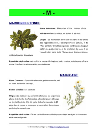 - M -
MARRONNIER D’INDE
Noms communs : Marronnier d'Inde, marron d'Inde.
Parties utilisées : L’écorce, les feuilles et les fruits.
Origine : Le marronnier d’Inde est un arbre de la famille
des Hippocastanacées, il est originaire des Balkans, et de
l’Asie Centrale. On l’utilise depuis de nombreux siècles pour
traiter des problèmes liés à la circulation du sang. Il se
répandit alors dans toute l’Europe pour diverses raisons,
médicinales voire décoratives.
Propriétés médicinales : Aujourd’hui le marron d’Inde et son huile constitue un traitement efficace
contre l’insuffisance veineuse et les jambes lourdes.
MATRICAIRE
Noms Communs : Camomille allemande, petite camomille, oeil
du soleil, wamomille sauvage.
Parties utilisées : Les capitules
Origine : La matricaire ou camomille allemande est un genre de
plante de la famille des Astéracées, elle est originaire d’Europe
du Nord et Centrale. Elle fait partie de la pharmacopée de 26
pays dans le monde et entre dans la composition de nombreux
produits pharmaceutiques.
Propriétés médicinales : Elle est particulièrement utilisée pour soulager les règles douloureuses
et faciliter la digestion.
Ce document est édité par le site http://www.phytoclick.com
 