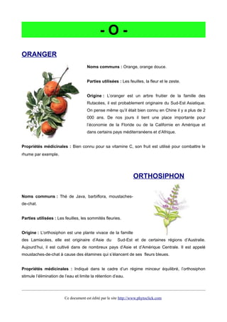 - O -
ORANGER
Noms communs : Orange, orange douce.
Parties utilisées : Les feuilles, la fleur et le zeste.
Origine : L’oranger est un arbre fruitier de la famille des
Rutacées, il est probablement originaire du Sud-Est Asiatique.
On pense même qu’il était bien connu en Chine il y a plus de 2
000 ans. De nos jours il tient une place importante pour
l’économie de la Floride ou de la Californie en Amérique et
dans certains pays méditerranéens et d’Afrique.
Propriétés médicinales : Bien connu pour sa vitamine C, son fruit est utilisé pour combattre le
rhume par exemple.
ORTHOSIPHON
Noms communs : Thé de Java, barbiflora, moustaches-
de-chat.
Parties utilisées : Les feuilles, les sommités fleuries.
Origine : L’orthosiphon est une plante vivace de la famille
des Lamiacées, elle est originaire d’Asie du Sud-Est et de certaines régions d’Australie.
Aujourd’hui, il est cultivé dans de nombreux pays d’Asie et d’Amérique Centrale. Il est appelé
moustaches-de-chat à cause des étamines qui s’élancent de ses fleurs bleues.
Propriétés médicinales : Indiqué dans le cadre d’un régime minceur équilibré, l’orthosiphon
stimule l’élimination de l’eau et limite la rétention d’eau.
Ce document est édité par le site http://www.phytoclick.com
 