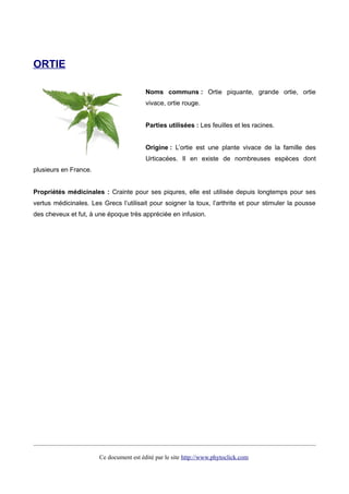 ORTIE
Noms communs : Ortie piquante, grande ortie, ortie
vivace, ortie rouge.
Parties utilisées : Les feuilles et les racines.
Origine : L’ortie est une plante vivace de la famille des
Urticacées. Il en existe de nombreuses espèces dont
plusieurs en France.
Propriétés médicinales : Crainte pour ses piqures, elle est utilisée depuis longtemps pour ses
vertus médicinales. Les Grecs l’utilisait pour soigner la toux, l’arthrite et pour stimuler la pousse
des cheveux et fut, à une époque très appréciée en infusion.
Ce document est édité par le site http://www.phytoclick.com
 
