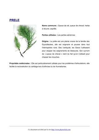 PRELE
Noms communs : Queue de rat, queue de cheval, herbe
à récurer, asprêle.
Parties utilisées : Les parties aériennes
Origine : La prêle est une plante vivace de la famille des
Equicétacées, elle est originaire et pousse dans tout
l’hémisphère nord. Des l’antiquité, les Grecs l’utilisaient
pour stopper les saignements de blessures. Son surnom
de « queue de cheval » vient du fait qu’on l’utilisait pour
chasser les mouches.
Propriétés médicinales : Elle est particulièrement utilisée pour les problèmes d’articulations, elle
facilite la reconstitution du cartilage lors d’arthrose ou de rhumatismes.
Ce document est édité par le site http://www.phytoclick.com
 