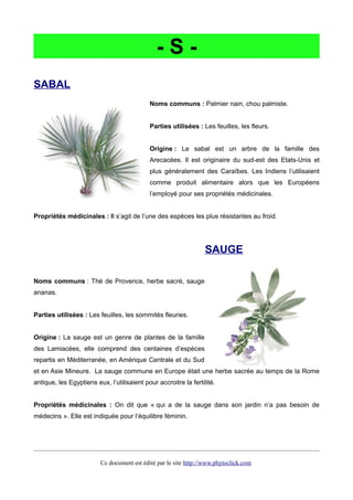 - S -
SABAL
Noms communs : Palmier nain, chou palmiste.
Parties utilisées : Les feuilles, les fleurs.
Origine : Le sabal est un arbre de la famille des
Arecacées. Il est originaire du sud-est des Etats-Unis et
plus généralement des Caraïbes. Les Indiens l’utilisaient
comme produit alimentaire alors que les Européens
l’employé pour ses propriétés médicinales.
Propriétés médicinales : Il s’agit de l’une des espèces les plus résistantes au froid.
SAUGE
Noms communs : Thé de Provence, herbe sacré, sauge
ananas.
Parties utilisées : Les feuilles, les sommités fleuries.
Origine : La sauge est un genre de plantes de la famille
des Lamiacées, elle comprend des centaines d’espèces
repartis en Méditerranée, en Amérique Centrale et du Sud
et en Asie Mineure. La sauge commune en Europe était une herbe sacrée au temps de la Rome
antique, les Egyptiens eux, l’utilisaient pour accroitre la fertilité.
Propriétés médicinales : On dit que « qui a de la sauge dans son jardin n’a pas besoin de
médecins ». Elle est indiquée pour l’équilibre féminin.
Ce document est édité par le site http://www.phytoclick.com
 