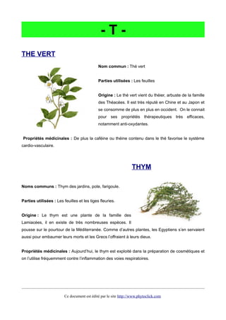 - T -
THE VERT
Nom commun : Thé vert
Parties utilisées : Les feuilles
Origine : Le thé vert vient du théier, arbuste de la famille
des Théacées. Il est très réputé en Chine et au Japon et
se consomme de plus en plus en occident. On le connait
pour ses propriétés thérapeutiques très efficaces,
notamment anti-oxydantes.
Propriétés médicinales : De plus la caféine ou théine contenu dans le thé favorise le système
cardio-vasculaire.
THYM
Noms communs : Thym des jardins, pote, farigoule.
Parties utilisées : Les feuilles et les tiges fleuries.
Origine : Le thym est une plante de la famille des
Lamiacées, il en existe de très nombreuses espèces. Il
pousse sur le pourtour de la Méditerranée. Comme d’autres plantes, les Egyptiens s’en servaient
aussi pour embaumer leurs morts et les Grecs l’offraient à leurs dieux.
Propriétés médicinales : Aujourd’hui, le thym est exploité dans la préparation de cosmétiques et
on l’utilise fréquemment contre l’inflammation des voies respiratoires.
Ce document est édité par le site http://www.phytoclick.com
 