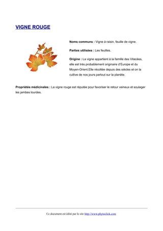VIGNE ROUGE
Noms communs : Vigne à raisin, feuille de vigne.
Parties utilisées : Les feuilles.
Origine : La vigne appartient à la famille des Vitacées,
elle est très probablement originaire d’Europe et du
Moyen-Orient.Elle récoltée depuis des siècles et on la
cultive de nos jours partout sur la planète.
Propriétés médicinales : La vigne rouge est réputée pour favoriser le retour veineux et soulager
les jambes lourdes.
Ce document est édité par le site http://www.phytoclick.com
 