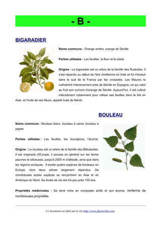 - B -
BIGARADIER
Noms communs : Orange amère, orange de Séville.
Parties utilisées : Les feuilles, la fleur et le zeste.
Origine : Le bigaradier est un arbre de la famille des Rutacées. Il
s'est répandu au début de l'ère chrétienne en Inde et fut introduit
dans le sud de la France par les croisades. Les Maures le
cultivèrent intensivement près de Séville en Espagne, ce qui valut
au fruit son surnom d'orange de Séville. Aujourd’hui, il est cultivé
intensément notamment pour utiliser ses feuilles dans le thé en
Asie, et l’huile de ses fleurs, appelé huile de Néroli.
BOULEAU
Noms communs : Bouleau blanc, bouleau à canot, bouleau à
papier.
Parties utilisées : Les feuilles, les bourgeons, l’écorce.
Origine : Le bouleau est un arbre de la famille des Bétulacées.
Il est originaire d’Europe, il pousse en général sur les terres
pauvres et siliceuses, jusqu'à 2000 m d'altitude, ainsi que dans
les régions arctiques. Il existe quatre espèces de bouleaux en
Europe, dont deux arbres largement répandus. De
nombreuses autres espèces se rencontrent en Asie et en
Amérique du Nord. Sa durée de vie est d’à peu près 100 ans.
Propriétés médicinales : Sa sève riche en composés actifs et son écorce, renferme de
nombreuses propriétés.
Ce document est édité par le site http://www.phytoclick.com
 