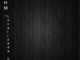 H
M

L
o
c
a
l
i
z
a
d
a
n
 