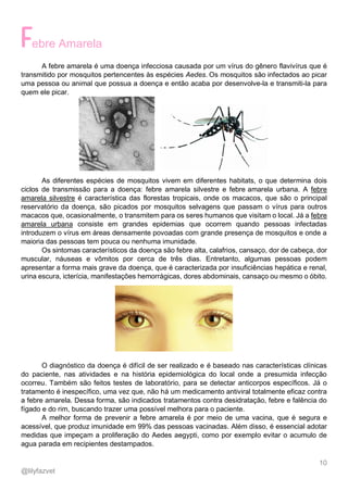10
@lilyfazvet
ebre Amarela
A febre amarela é uma doença infecciosa causada por um vírus do gênero flavivírus que é
transmitido por mosquitos pertencentes às espécies Aedes. Os mosquitos são infectados ao picar
uma pessoa ou animal que possua a doença e então acaba por desenvolve-la e transmiti-la para
quem ele picar.
As diferentes espécies de mosquitos vivem em diferentes habitats, o que determina dois
ciclos de transmissão para a doença: febre amarela silvestre e febre amarela urbana. A febre
amarela silvestre é característica das florestas tropicais, onde os macacos, que são o principal
reservatório da doença, são picados por mosquitos selvagens que passam o vírus para outros
macacos que, ocasionalmente, o transmitem para os seres humanos que visitam o local. Já a febre
amarela urbana consiste em grandes epidemias que ocorrem quando pessoas infectadas
introduzem o vírus em áreas densamente povoadas com grande presença de mosquitos e onde a
maioria das pessoas tem pouca ou nenhuma imunidade.
Os sintomas característicos da doença são febre alta, calafrios, cansaço, dor de cabeça, dor
muscular, náuseas e vômitos por cerca de três dias. Entretanto, algumas pessoas podem
apresentar a forma mais grave da doença, que é caracterizada por insuficiências hepática e renal,
urina escura, icterícia, manifestações hemorrágicas, dores abdominais, cansaço ou mesmo o óbito.
O diagnóstico da doença é difícil de ser realizado e é baseado nas características clínicas
do paciente, nas atividades e na história epidemiológica do local onde a presumida infecção
ocorreu. Também são feitos testes de laboratório, para se detectar anticorpos específicos. Já o
tratamento é inespecífico, uma vez que, não há um medicamento antiviral totalmente eficaz contra
a febre amarela. Dessa forma, são indicados tratamentos contra desidratação, febre e falência do
fígado e do rim, buscando trazer uma possível melhora para o paciente.
A melhor forma de prevenir a febre amarela é por meio de uma vacina, que é segura e
acessível, que produz imunidade em 99% das pessoas vacinadas. Além disso, é essencial adotar
medidas que impeçam a proliferação do Aedes aegypti, como por exemplo evitar o acumulo de
agua parada em recipientes destampados.
 