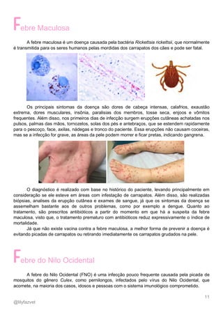 11
@lilyfazvet
ebre Maculosa
A febre maculosa é um doença causada pela bactéria Rickettsia rickettsii, que normalmente
é transmitida para os seres humanos pelas mordidas dos carrapatos dos cães e pode ser fatal.
Os principais sintomas da doença são dores de cabeça intensas, calafrios, exaustão
extrema, dores musculares, insônia, paralisias dos membros, tosse seca, enjoos e vômitos
frequentes. Além disso, nos primeiros dias de infecção surgem erupções cutâneas achatadas nos
pulsos, palmas das mãos, tornozelos, solas dos pés e antebraços, que se estendem rapidamente
para o pescoço, face, axilas, nádegas e tronco do paciente. Essa erupções não causam coceiras,
mas se a infecção for grave, as áreas da pele podem morrer e ficar pretas, indicando gangrena.
O diagnóstico é realizado com base no histórico do paciente, levando principalmente em
consideração se ele esteve em áreas com infestação de carrapatos. Além disso, são realizadas
biópsias, analises da erupção cutânea e exames de sangue, já que os sintomas da doença se
assemelham bastante aos de outros problemas, como por exemplo a dengue. Quanto ao
tratamento, são prescritos antibióticos a partir do momento em que há a suspeita da febre
maculosa, visto que, o tratamento prematuro com antibióticos reduz expressivamente o índice de
mortalidade.
Já que não existe vacina contra a febre maculosa, a melhor forma de prevenir a doença é
evitando picadas de carrapatos ou retirando imediatamente os carrapatos grudados na pele.
ebre do Nilo Ocidental
A febre do Nilo Ocidental (FNO) é uma infecção pouco frequente causada pela picada de
mosquitos do gênero Culex, como pernilongos, infectados pelo vírus do Nilo Ocidental, que
acomete, na maioria dos casos, idosos e pessoas com o sistema imunológico comprometido.
 